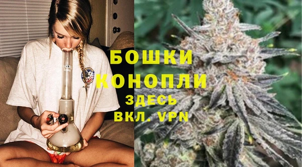трава Богородицк