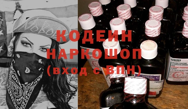 хмурый Богородск