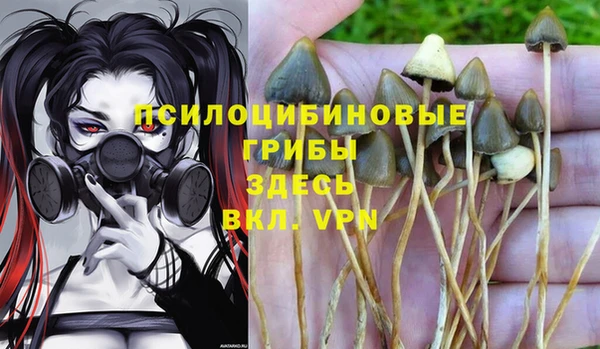 трава Богородицк
