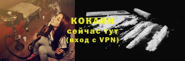 трава Богородицк