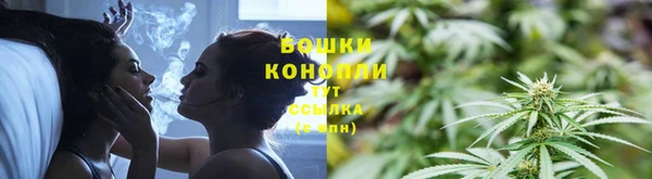 крисы Богданович