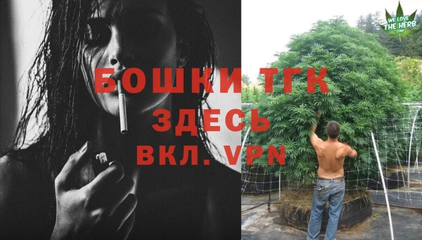 крисы Богданович