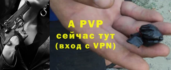 крисы Богданович