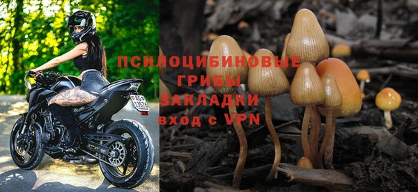 трава Богородицк