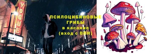 хмурый Богородск