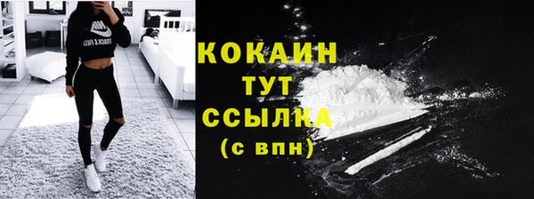крисы Богданович