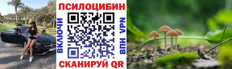 hydra онион Тверь Псилоцибиновые грибы мицелий